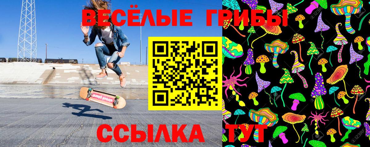 Киров  Псилоцибиновые грибы MAGIC MUSHROOMS  Вход с VPN  продажа наркотиков  Псилоцибиновые грибы ЛСД 