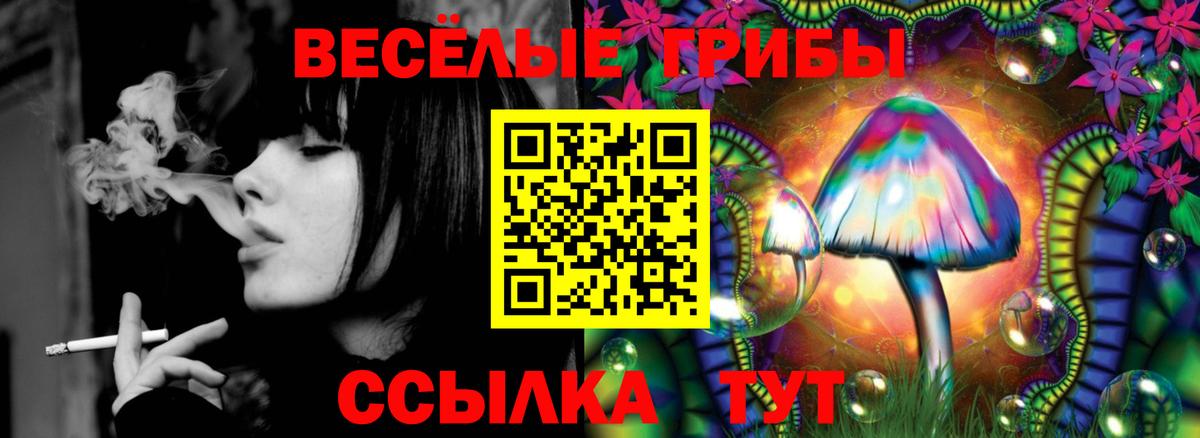 Псилоцибиновые грибы Cubensis Киров